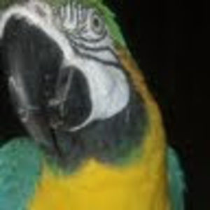 Meet your Posher, Tonya